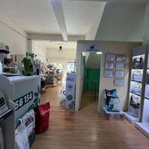Venta De 2 Casas Y Local Comercial En Puntas Carretas