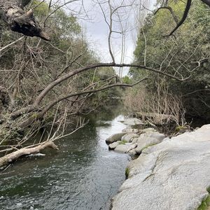 Campo En Uruguay Con Río Y Casas – 85 Ha En Colonia | Ideal Turismo O Refugio