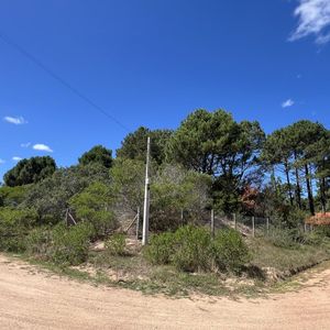 Terreno En Venta En Chihuahua 