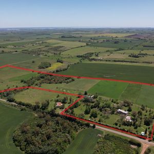 Campo 24 Ha Con Casa Principal Y Mejoras | Ruta 97 | Zona Nueva Palmira