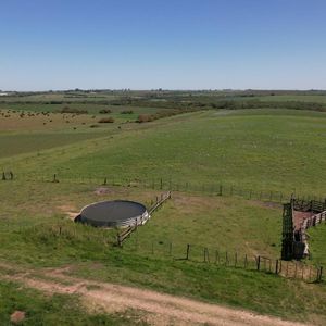 Muy Buen Campo Mixto De 64 Has En Zona De Nueva Palmira