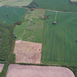 Campo Con Casa En Colonia – 24 Ha | Cerca De Nueva Palmira | Buen Acceso