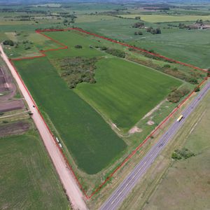 Campo Agrícola 29 Has En Venta | Frente Ruta 12 | A 13 Km Nueva Palmira