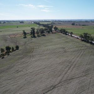 Campo En Venta Colonia - Ruta 2 - Agrícola