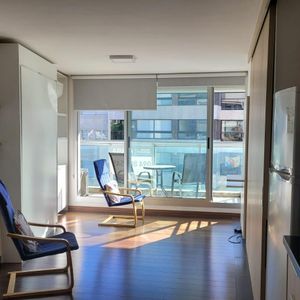 Apartamento Monoambiente En Alquiler En Punta Carretas