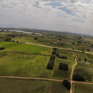 Venta Chacra 5 Ha Laguna Del Sauce Maldonado