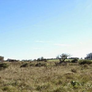 Lote En Laguna Escondida - Tm41180