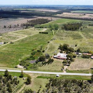 Venta Campo Migues