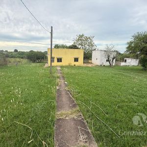 Chacra - Carmelo