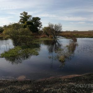 Campo En Salto