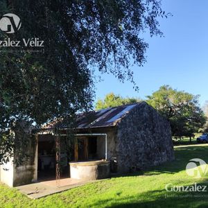 Campo De 33has Con Aguada Natural A Sòlo 1,6km De Conchillas