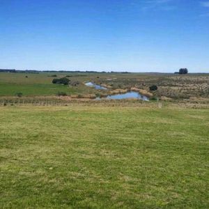 Campo En Las Garzas