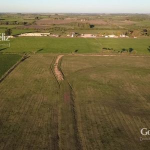 Terreno En Carmelo