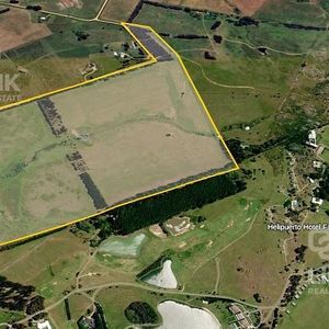 Chacra De 63 Hectareás - Lindera A Fasano Las Piedras