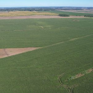 Campo En San Pedro Del Paraná