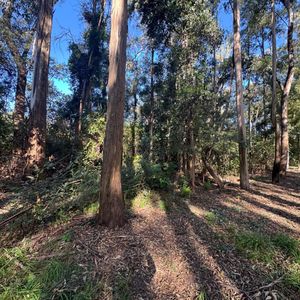 Terreno En Venta En Santa Ana – 600 M²