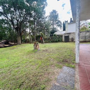 Venta Casa A Reciclar Más Apartamento Independiente En Pinares Punta Del Este