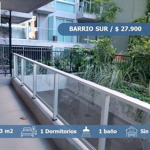 Alquiler Apartamento 1 Dormitorio Con Terraza En Barrio Sur