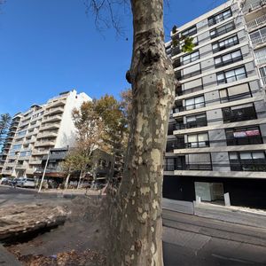 Alquiler Monoambiente En Pocitos, Juan Benito Blanco Y José Martí, A Una Cuadra De La Rambla–$24.000