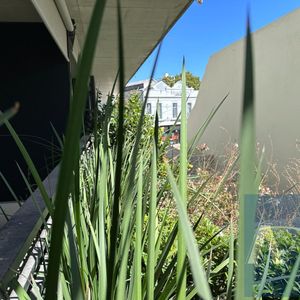 Apartamento De 1 Dormitorio En Venta Con Renta, Oportunidad De Inversión. Zona De Alta Demanda