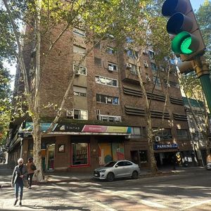 Departamento Sobre La Calle Wilson Ferreira Aldunate