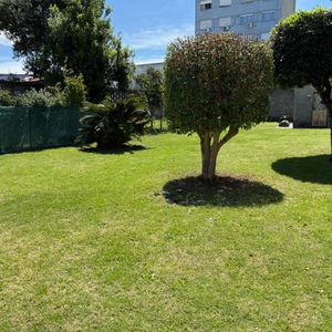Venta De Terreno En Buceo 491m2 Ideal Housing