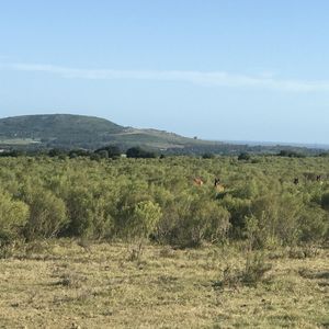 Chacra De 3 Has En Pan De Azucar
