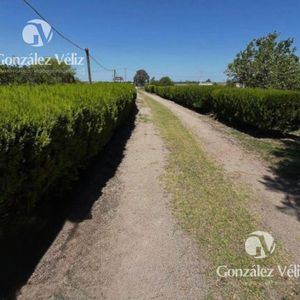 Chacra En Juan Gonzalez