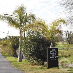 Terreno En Carrasco Norte