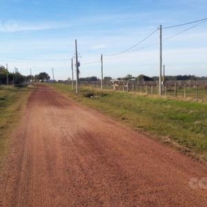 Exclusiva Chacra De 1,5 Hectáreas En Venta En Colonia Estrella, Carmelo: Un Oasis De Tranquilidad Y Potencial.