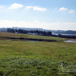 Laguna De Los Cisnes Punta Ballena- Lote Venta 5.300 M2 Barrio Cerrado Parrillero Piscina