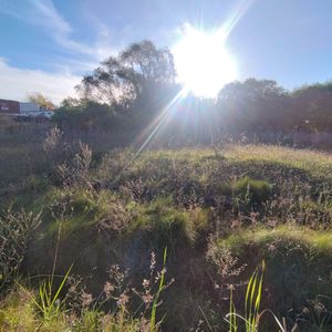 Terreno En Nueva Helvecia