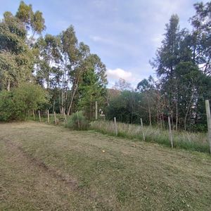 Terreno En Los Pinos