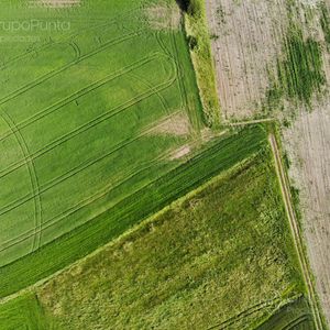 Campo En Venta - Treinta Y Tres