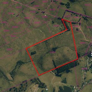 Campo De 63 Ha Lindero A Fasano Las Piedras