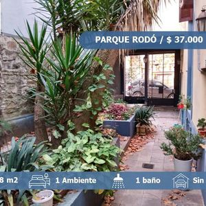 Alquiler Monoambiente Con Patio De Uso Exclusivo En Parque Rodó.