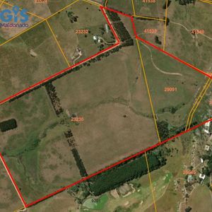 Campo De 82,9 Ha Lindero A Fasano Las Piedras