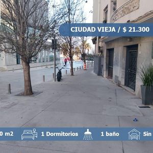 Alquiler Apartamento De 1 Dormitorio En Ciudad Vieja