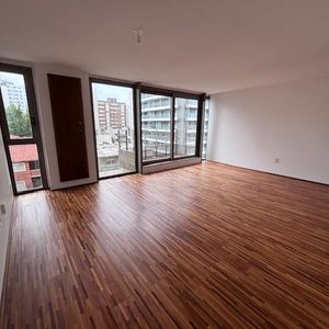 Departamento - Punta Carretas