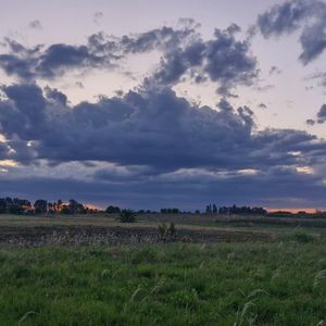 Terreno En Nueva Helvecia