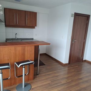 Apartamento 2 Dormitorio En Alquiler En Pocitos