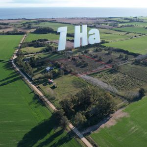 Chacra De 1 Hectárea En Venta En La Loma, San Pedro, Colonia Del Sacramento