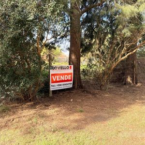 Terreno 398 M2 Ubicado En Carmelo Próximo A Playa Seré