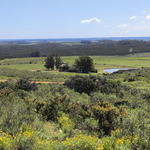 Venta De Chacras De 5 Hectáreas En Lavalleja, Cerca De Minas- Las Moras Vistas Panoramicas