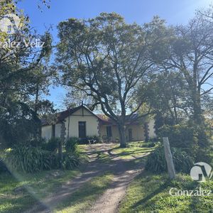 Histórica Casa En Venta En El Corazón De Conchillas.