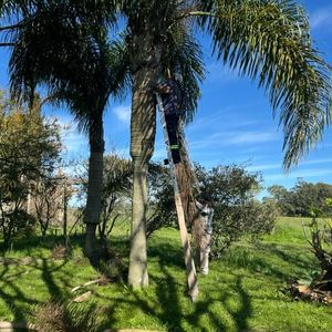 Chacra En Rocha
