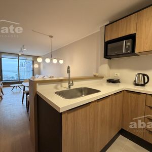 Hermoso Apartamento En Alquiler 2 Dormitorios A Estrenar Con Muebles