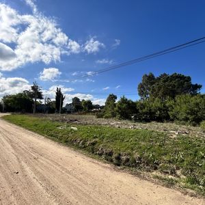Venta Terreno El Pinar 