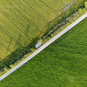 Campo En Venta - Rocha