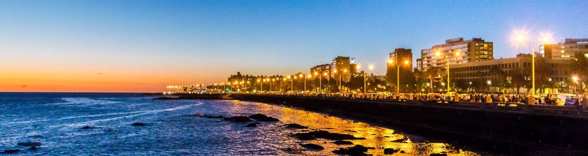 POINTER - Mejores negocios inmobiliarios.
